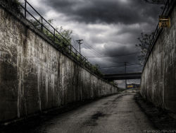 Visual wallpaper series 21P