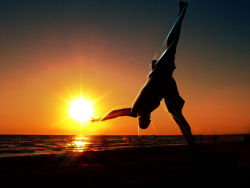 Cold Department of wallpaper series 24P