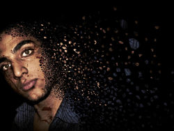 Linear series wallpaper 18P