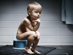 Creative - fine design wallpaper NO.31��31P��