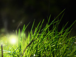 Wallpaper patterns of light  NO.2