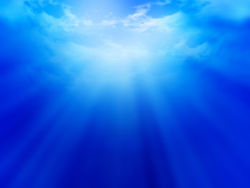 Blue charm wallpaper