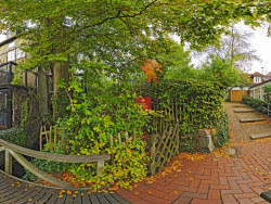 Field H-D 360�� Seamless panorama wallpaper 2