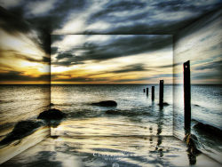 Cool landscape,plants and flowers series wallpaper