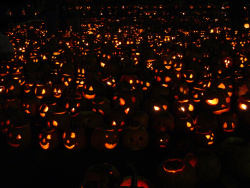 Halloween Wallpaper Series