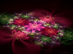 3D wallpaper gorgeous flowers