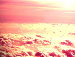 1600x1200   Wallpaper clear