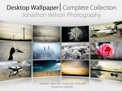 Landscape ecology (2560X1600) widescreen wallpaper