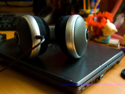 Wallpaper sharing plan