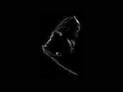 Random selection of wallpaper (one hundred sixty-nine)