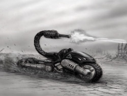 Random selection of wallpaper