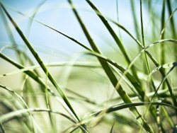 Random selection of wallpaper (two hundred seventy-four)