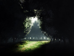 InterfaceLIFT Wallpaper album [eleven]