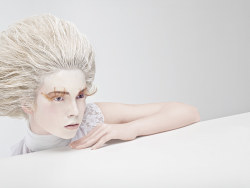 Dream incubation [wallpaper]