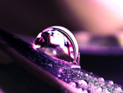 I dream pass brushes, mosaic want the book sent asakumo [wallpaper]