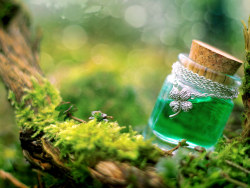 Good rain knows the season [wallpaper]