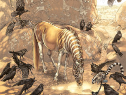 KATURRAN ODYSSEY cartoon