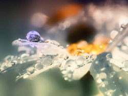 The rain as XiaCai multicolored himself��wallpaper��